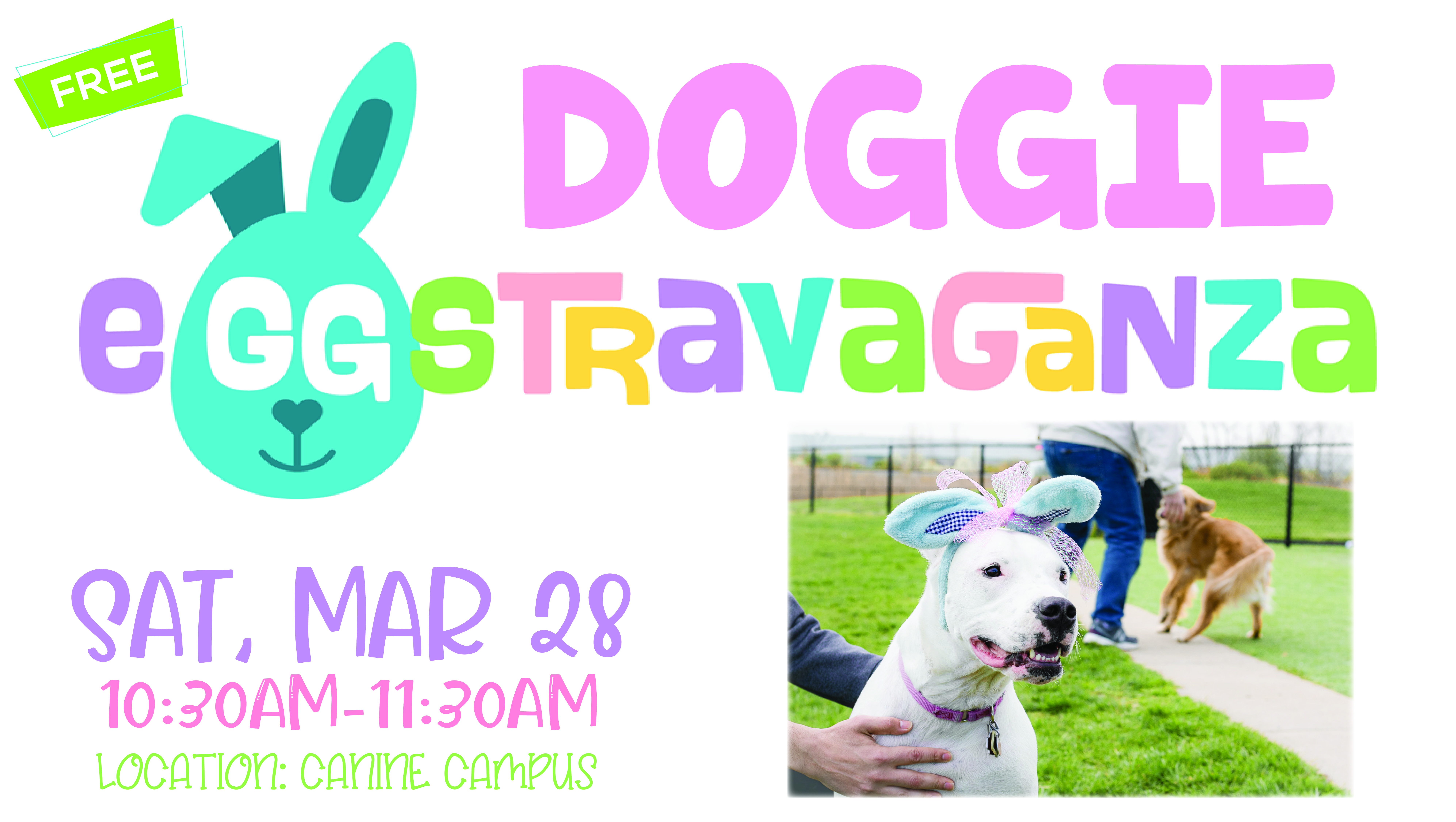 Doggie Eggstravaganza 2026 – REACH